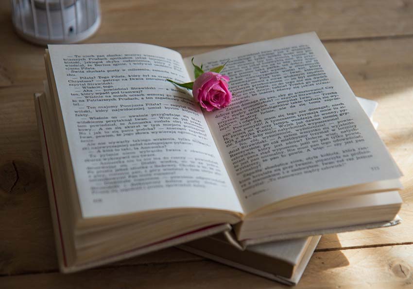 Foto de un libro y una rosa